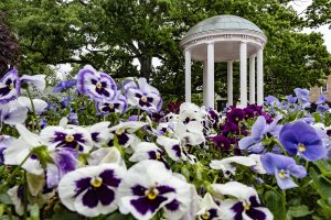 purple and white pansy flowers flourish in front of the Old Well.